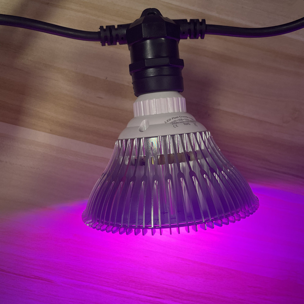 10M kabel LED-slinger van comm - Outdoor Lighting In Ground recensie en prijs