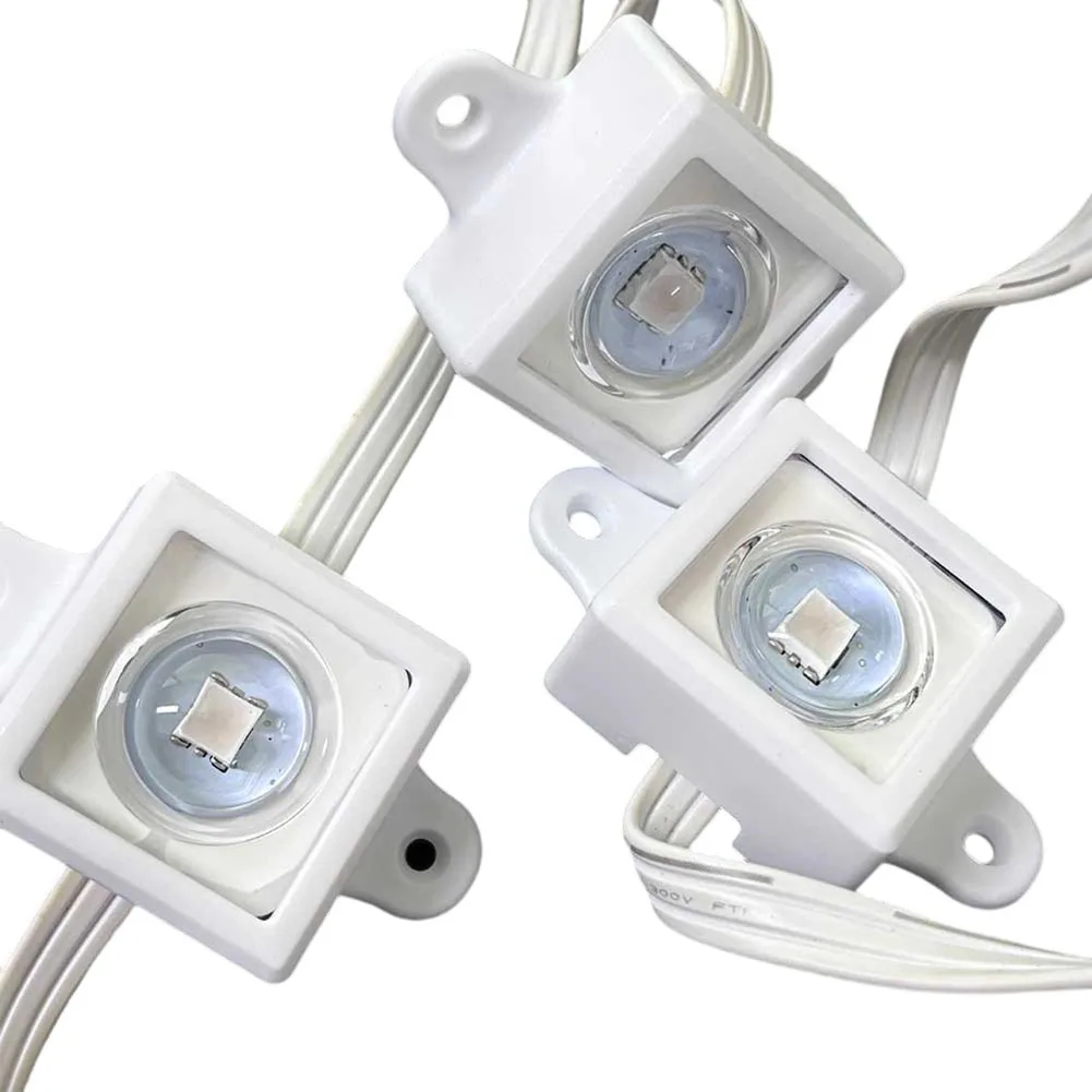 40/80 Stuks Festival Licht Cli - Outdoor Lighting Govee recensie en prijs