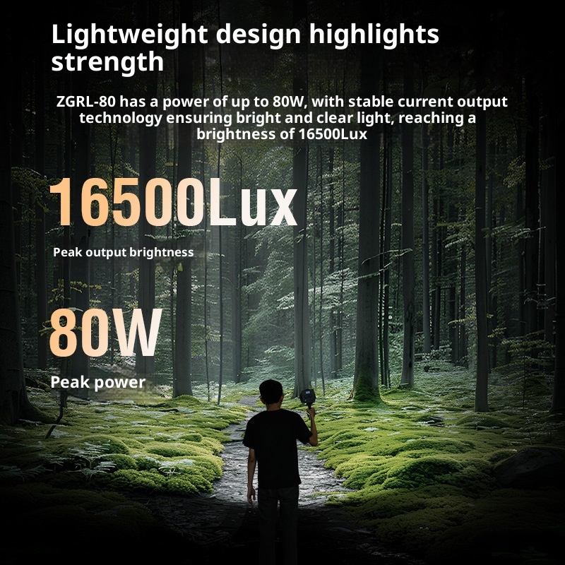 ZGRL80 80W COB LED-videolamp H - Outdoor Lighting For Photography recensie en prijs