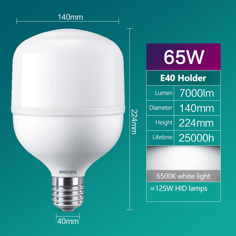 Philips LED T160-lamp E40 65W  - Outdoor Lighting Philips recensie en prijs